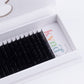 .03 Single Versatility Pro Lashes