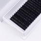 .07 Single Versatility Pro Lashes